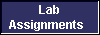  Lab 
Assignments  